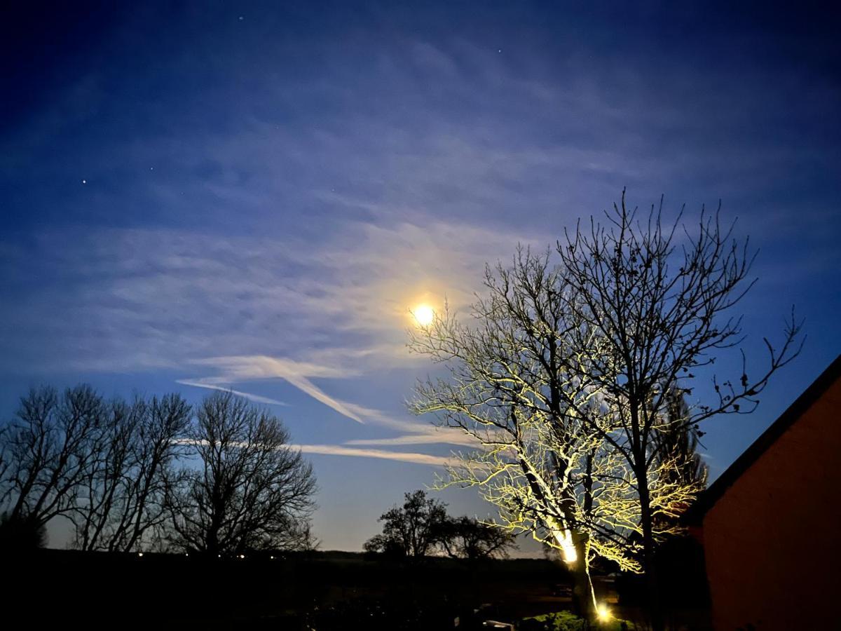 Ferienwohnungen Dargatz Lussvitz Bagian luar foto